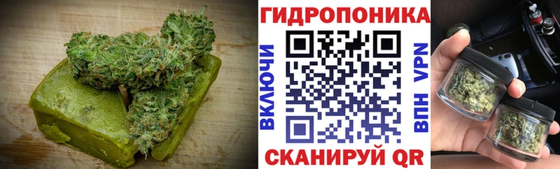 Cannafood конопля  blacksprut сайт  Борисоглебск 