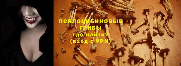 соль ск Балахна
