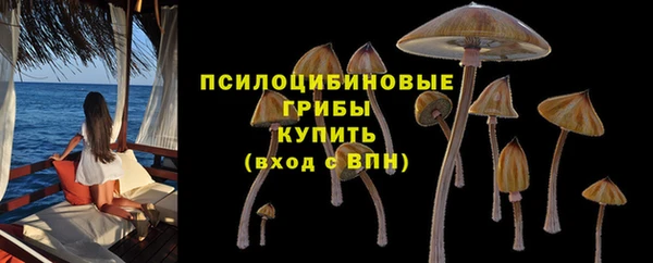 стаф Балабаново