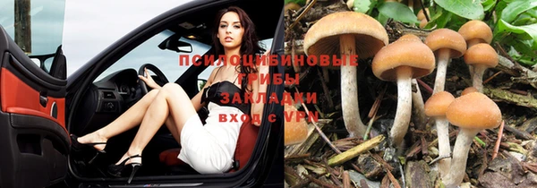 стаф Балабаново