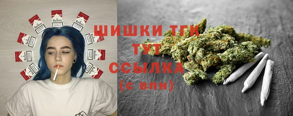 стафф Семикаракорск