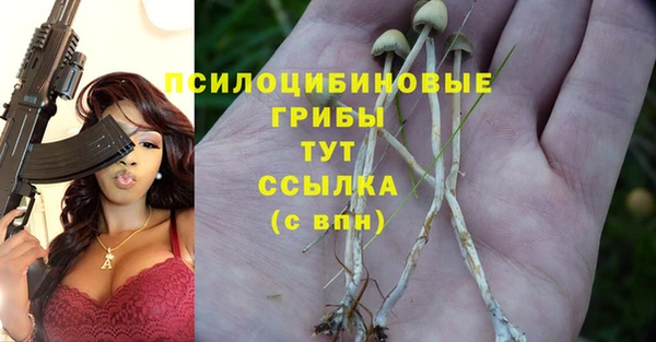 стаф Балабаново