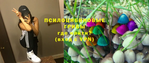 стаф Балабаново